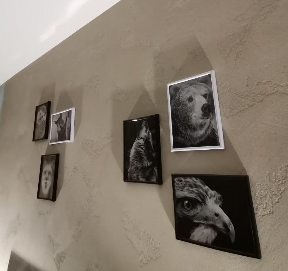 Studio A3 Borovets Gardens Buitenkant foto